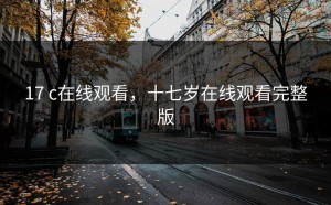 17 c在线观看，十七岁在线观看完整版