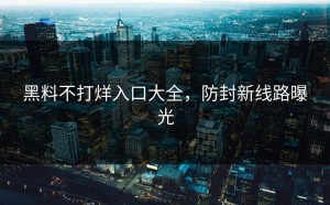 黑料不打烊入口大全，防封新线路曝光