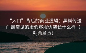 “入口”背后的商业逻辑：黑料传送门最常见的虚假客服伪装长什么样（别急着点）