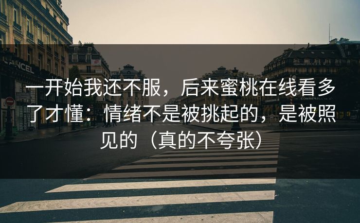 一开始我还不服,后来蜜桃在线看多了才懂:情绪不是被挑起的,是被照见的(真的不夸张) 一开始我还不服,后来蜜桃在线看多了才懂:情绪不是被挑起的,是被照见的(真的不夸张)